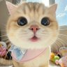 Mel Mew profil fotoğrafı