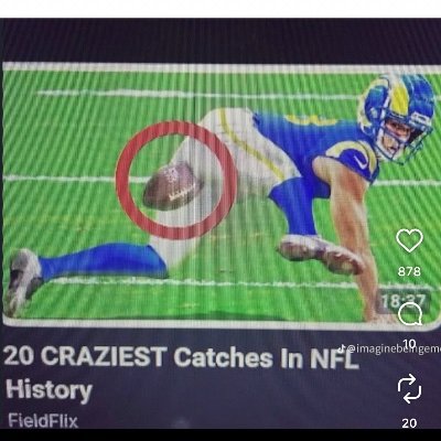 BadBizzTheFurry's profile picture
