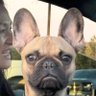 Woody807's profile picture