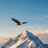 Profilbild von Himalaya Chaser