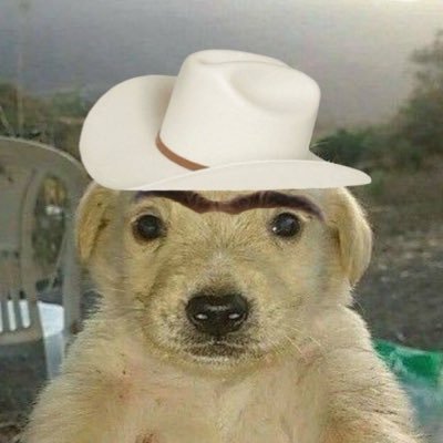 Brah's profile picture