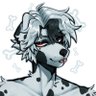 bern's profile picture