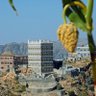 Фото профиля Jassem alyafey