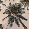 Фото профиля ريم🇸🇦