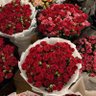 Фото профиля Lala🌹