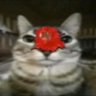 Brasisisisiuuuuuullllllllllll profil fotoğrafı