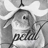Фото профиля ❃°•°❀°•°❃