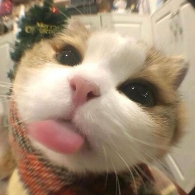 อั้มๆจะกางอาณาเขต🤞🏻😼's profile picture