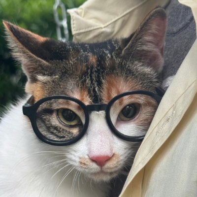 NemoHae's profile picture