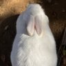 Фото профиля ko(こう)🌞あえてなるべく 教えない😊