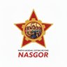Partai Nasgor (Nasional Gotong Royong)'s profile picture