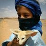 وهيب 的头像