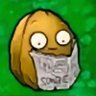 Profilbild von 坚果墙果坚