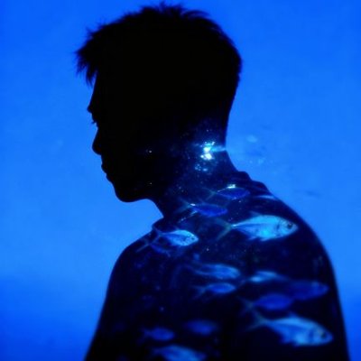 Dongqin1998's profile picture
