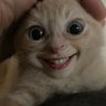 ABYSS POOP's profile picture