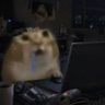 EpYSNIPPY's profile picture