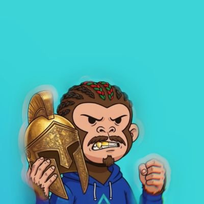 0xveektorr's profile picture
