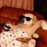 Sai_GinGer profil fotoğrafı