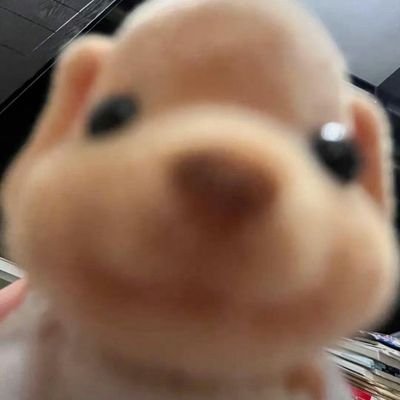 콩's profile picture