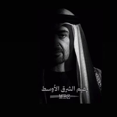 乃ㄩㄒ丨🇦🇪's profile picture