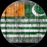 Tahir Mughal 的头像