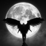 Profilbild von M