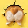 Profilbild von Bow