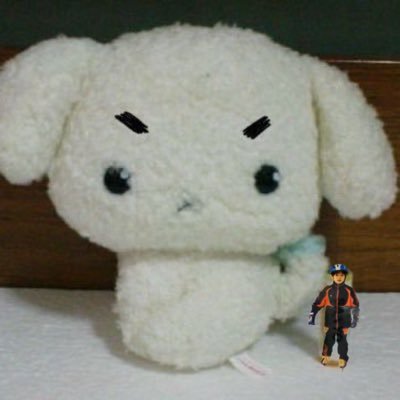 주인's profile picture