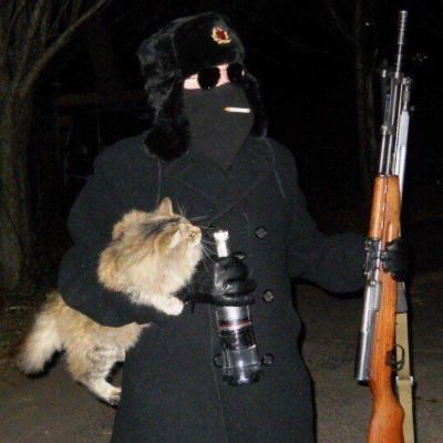 Volk 🎻Чвк🏴☠️'s profile picture