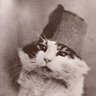 Isaak profil fotoğrafı