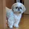もこママ's profile picture