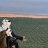 نواف النجدي profil fotoğrafı