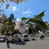 あや profil fotoğrafı