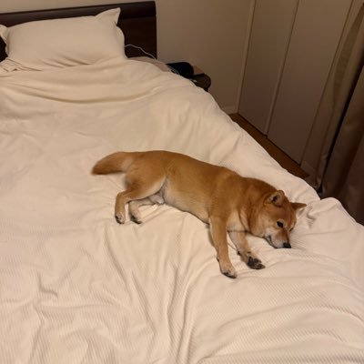 ryuzo_jp's profile picture