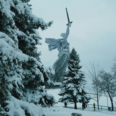 v1cee's profile picture