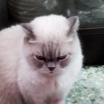 ปากเปียกปากแฉะ's profile picture