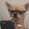 Profilbild von steve