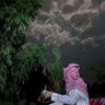 ابن الرياض 的头像