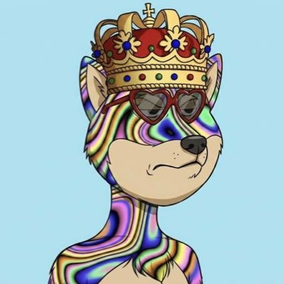 Noah's profile picture