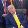 Trump Nappy Time, PhD, Esq., K.B.E. 的头像