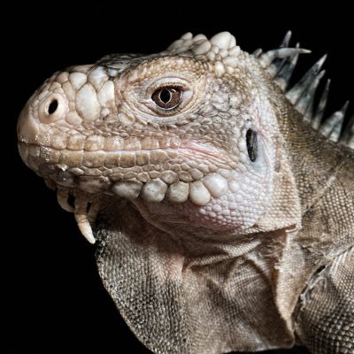 たろ姉's profile picture