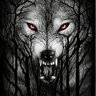 Wolfafteryou profil fotoğrafı