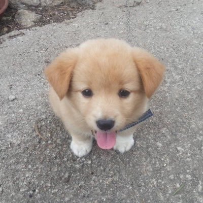 nuheart99's profile picture