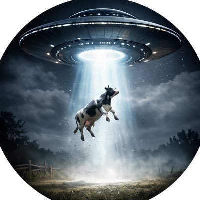 Neil Goodman's profile picture