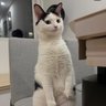 I Want To Know More 的头像