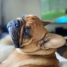.com's profile picture