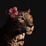 🐆.'s profile picture