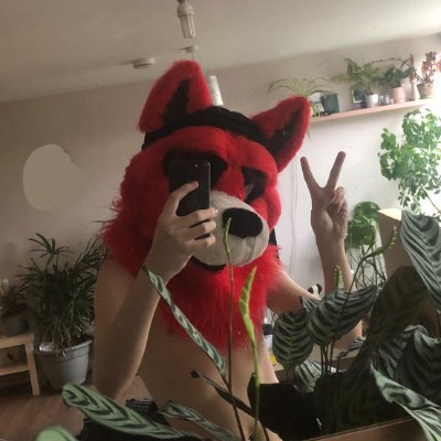 JezzerJizzFox's profile picture
