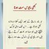 Abdul Ghaffar's profile picture