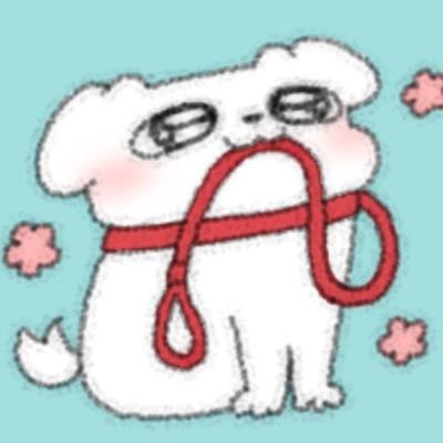 xiaoke_5329's profile picture